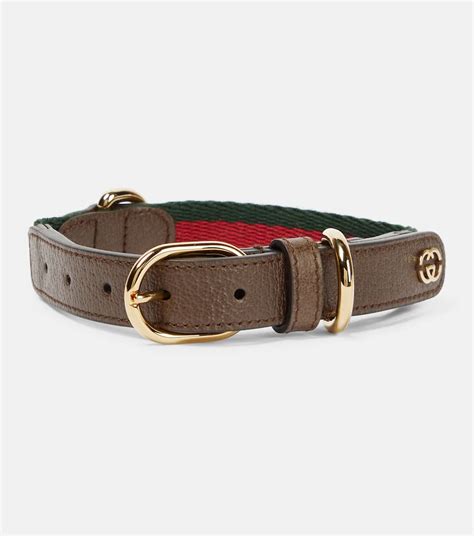 collier pour chien gucci